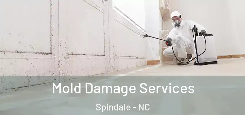  Mold Damage Services Spindale - NC