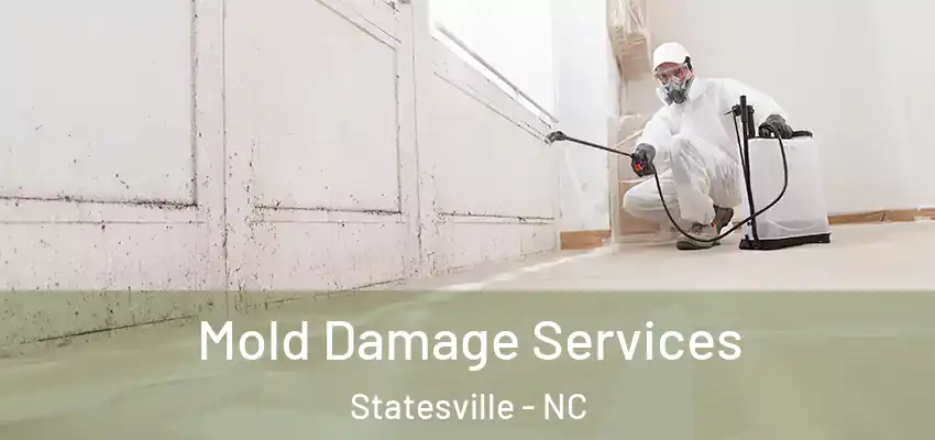  Mold Damage Services Statesville - NC