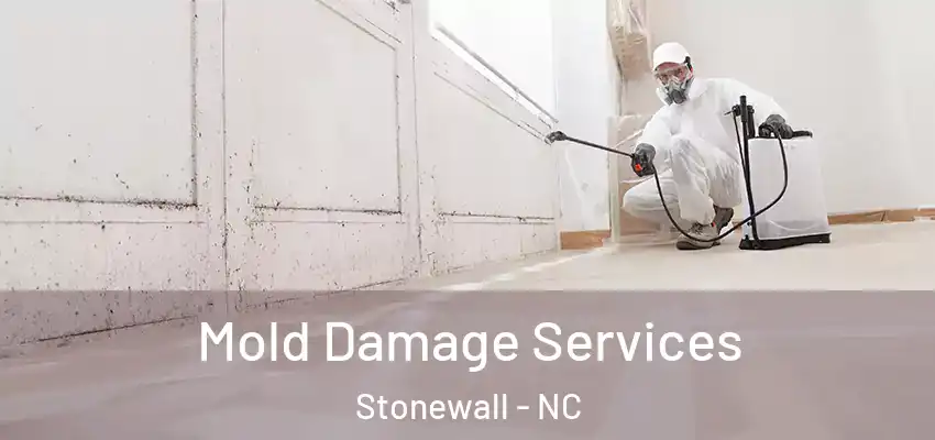  Mold Damage Services Stonewall - NC