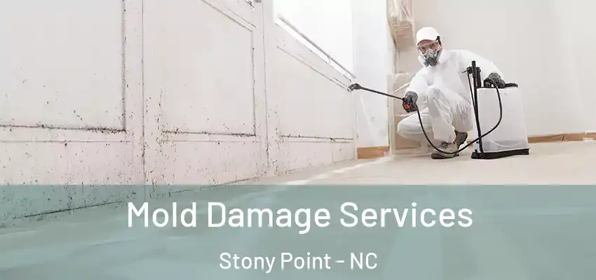 Mold Damage Services Stony Point - NC