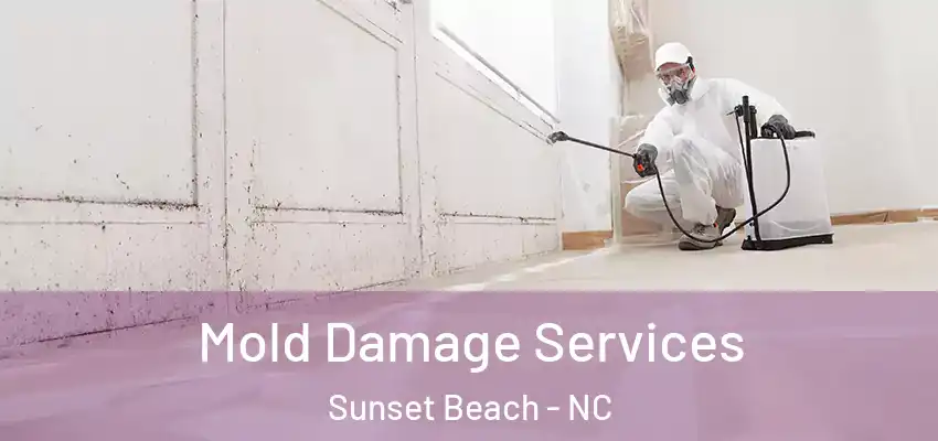 Mold Damage Services Sunset Beach - NC