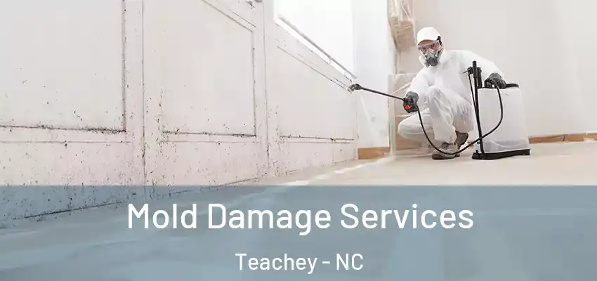 Mold Damage Services Teachey - NC