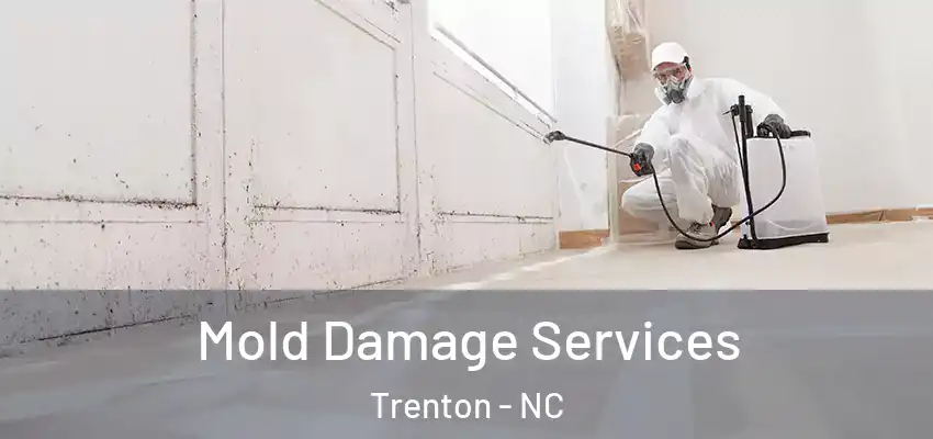 Mold Damage Services Trenton - NC