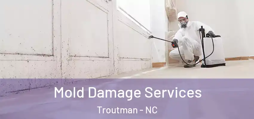 Mold Damage Services Troutman - NC