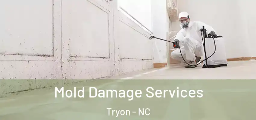 Mold Damage Services Tryon - NC