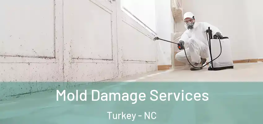 Mold Damage Services Turkey - NC