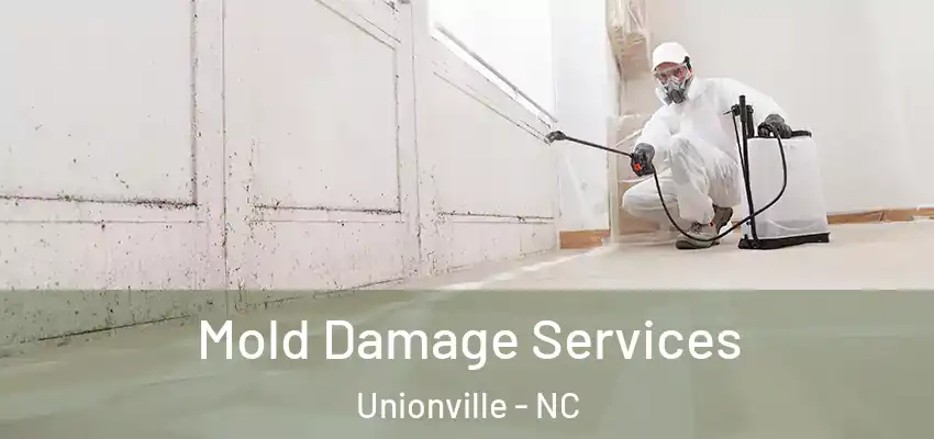 Mold Damage Services Unionville - NC