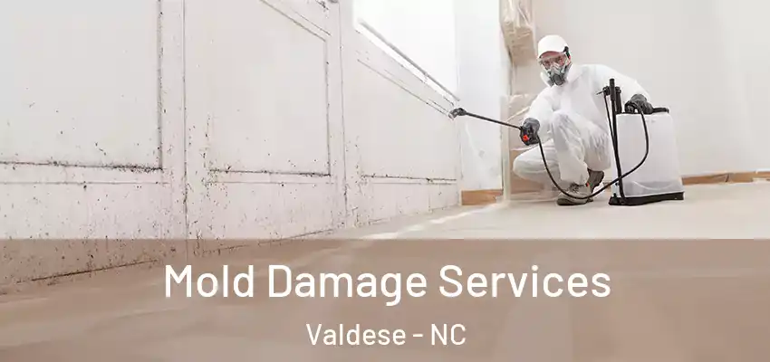Mold Damage Services Valdese - NC