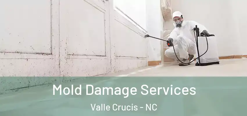  Mold Damage Services Valle Crucis - NC