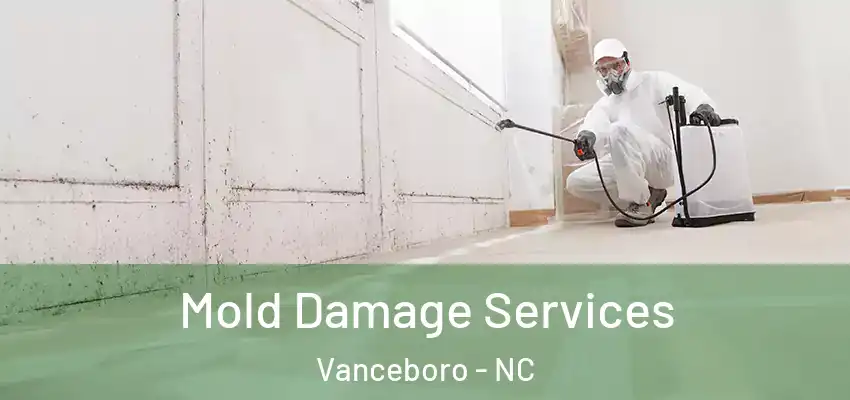  Mold Damage Services Vanceboro - NC
