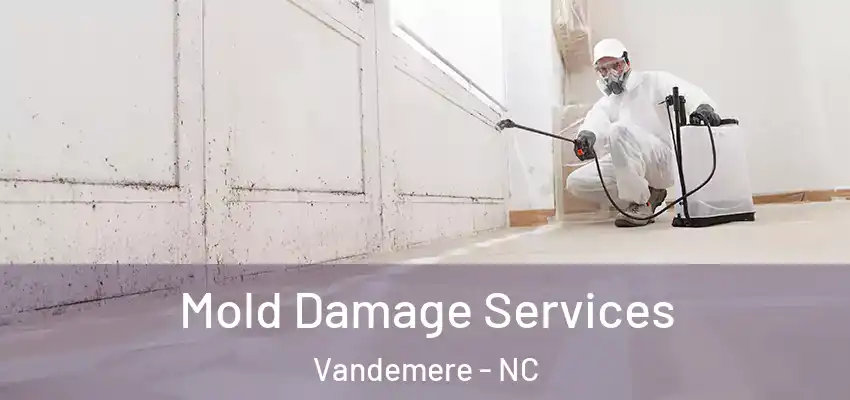  Mold Damage Services Vandemere - NC