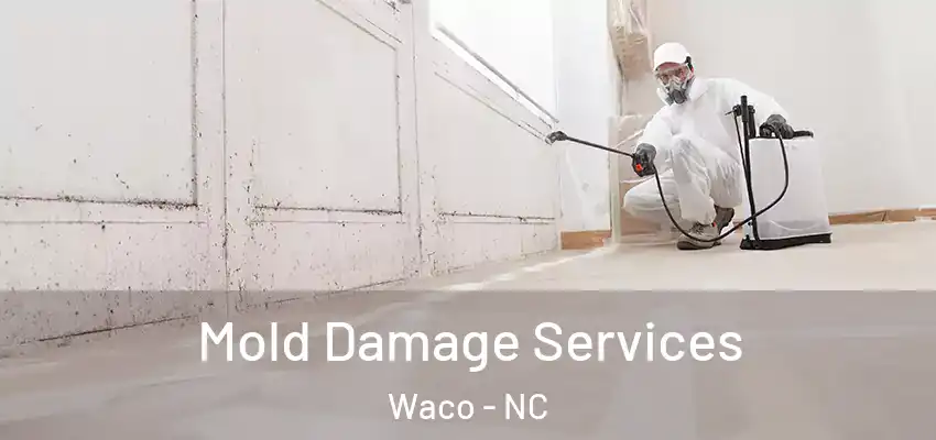  Mold Damage Services Waco - NC