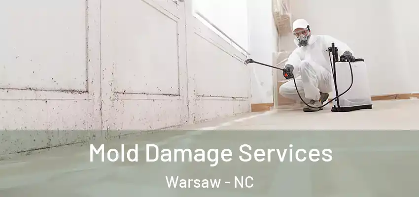  Mold Damage Services Warsaw - NC
