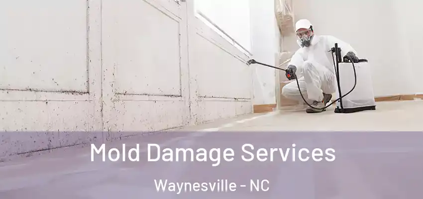 Mold Damage Services Waynesville - NC
