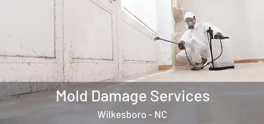 Mold Damage Services Wilkesboro - NC