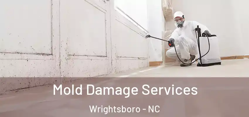Mold Damage Services Wrightsboro - NC