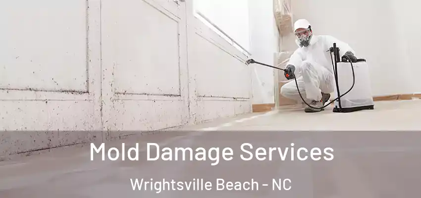  Mold Damage Services Wrightsville Beach - NC