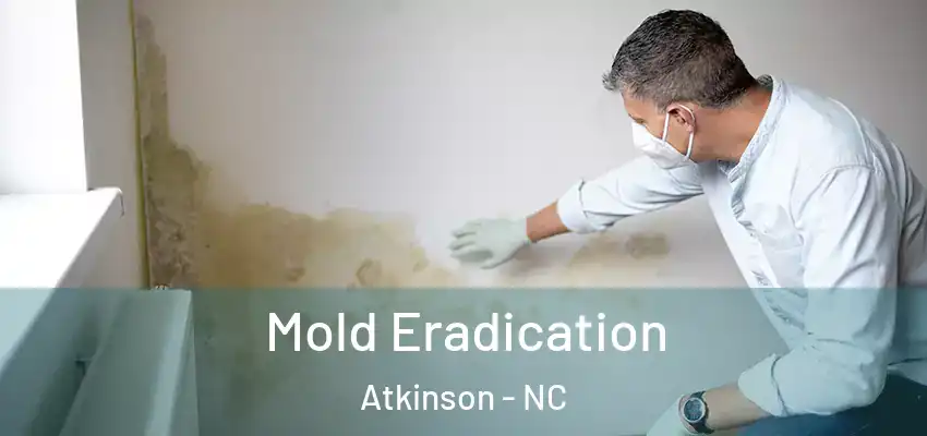  Mold Eradication Atkinson - NC