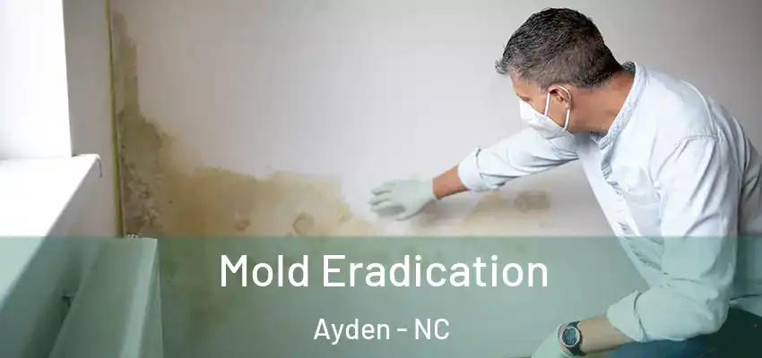  Mold Eradication Ayden - NC