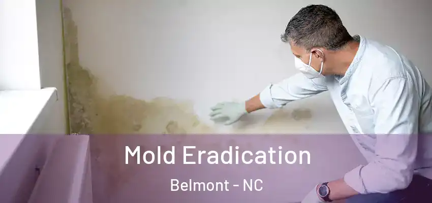  Mold Eradication Belmont - NC