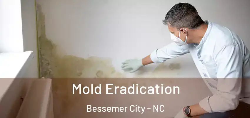Mold Eradication Bessemer City - NC