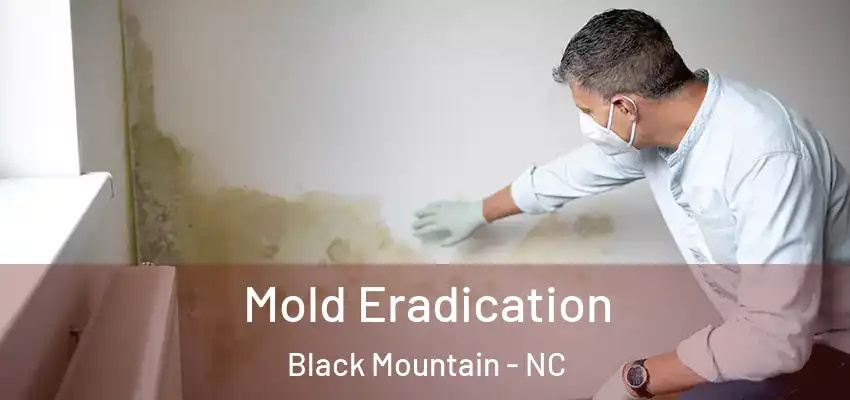  Mold Eradication Black Mountain - NC
