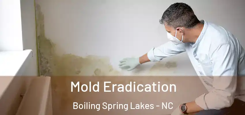  Mold Eradication Boiling Spring Lakes - NC