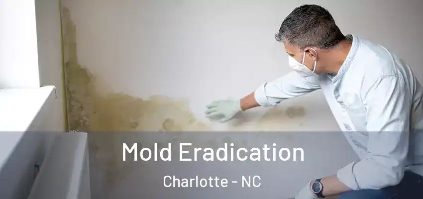  Mold Eradication Charlotte - NC