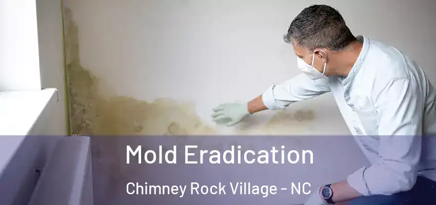  Mold Eradication Chimney Rock Village - NC