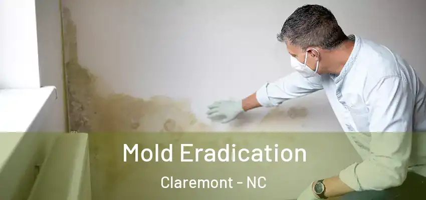  Mold Eradication Claremont - NC