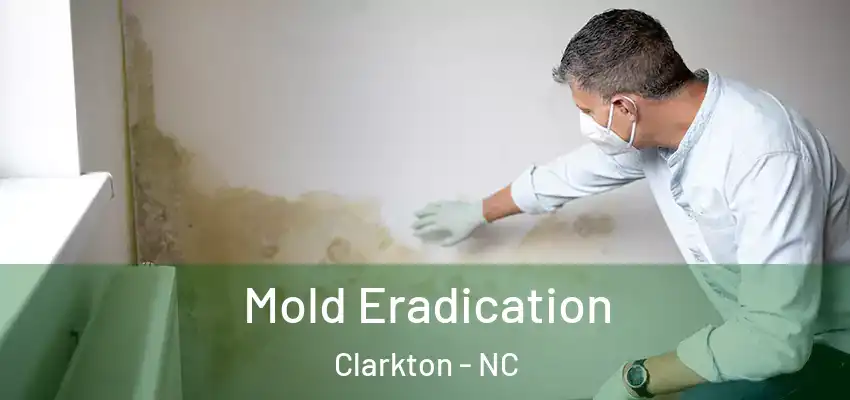  Mold Eradication Clarkton - NC
