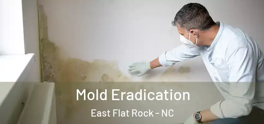 Mold Eradication East Flat Rock - NC