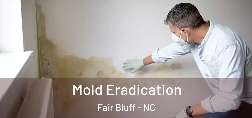  Mold Eradication Fair Bluff - NC