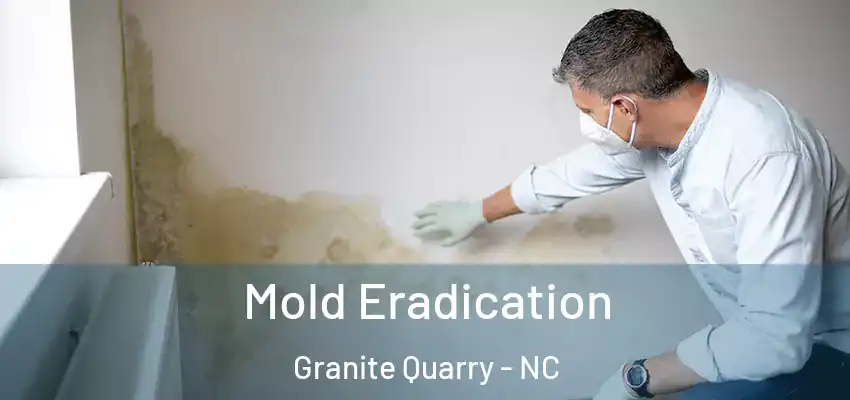 Mold Eradication Granite Quarry - NC