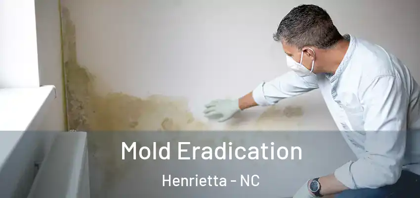  Mold Eradication Henrietta - NC