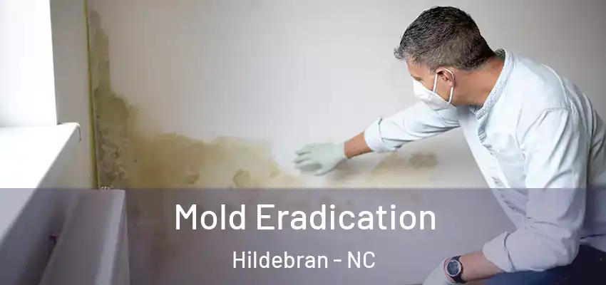 Mold Eradication Hildebran - NC