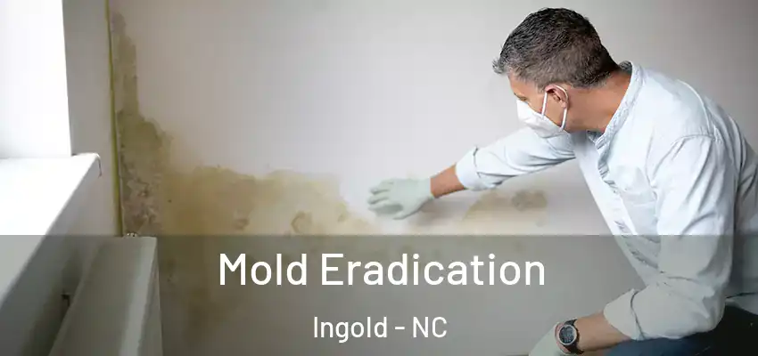  Mold Eradication Ingold - NC
