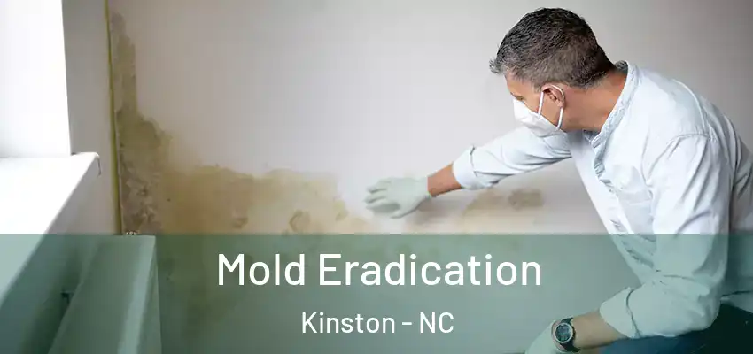  Mold Eradication Kinston - NC