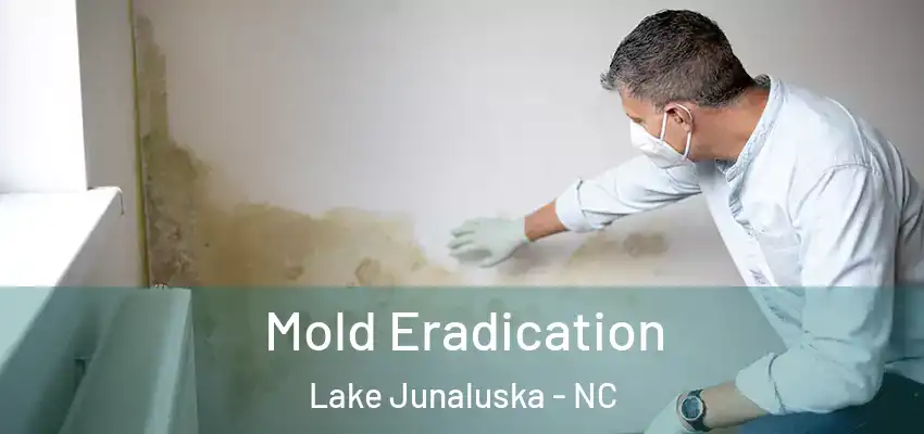 Mold Eradication Lake Junaluska - NC