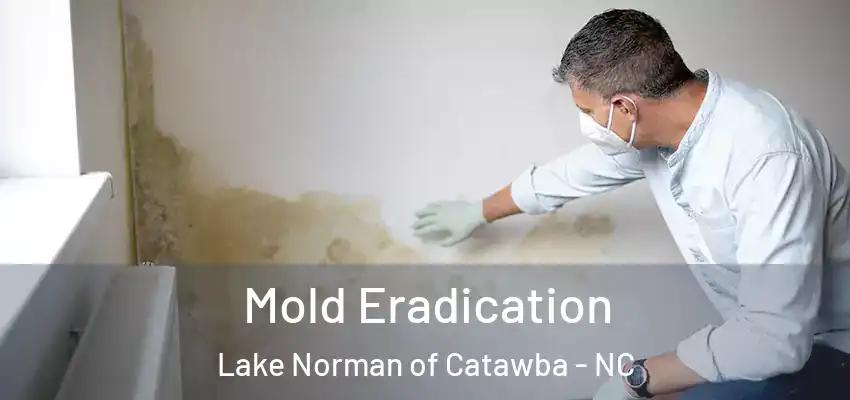  Mold Eradication Lake Norman of Catawba - NC