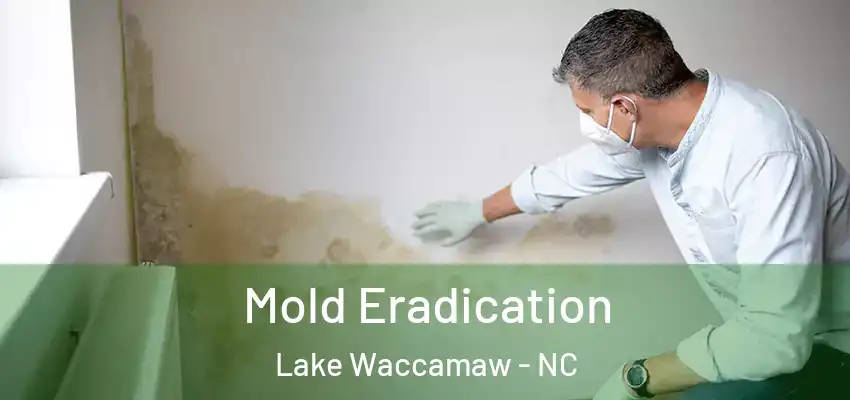 Mold Eradication Lake Waccamaw - NC