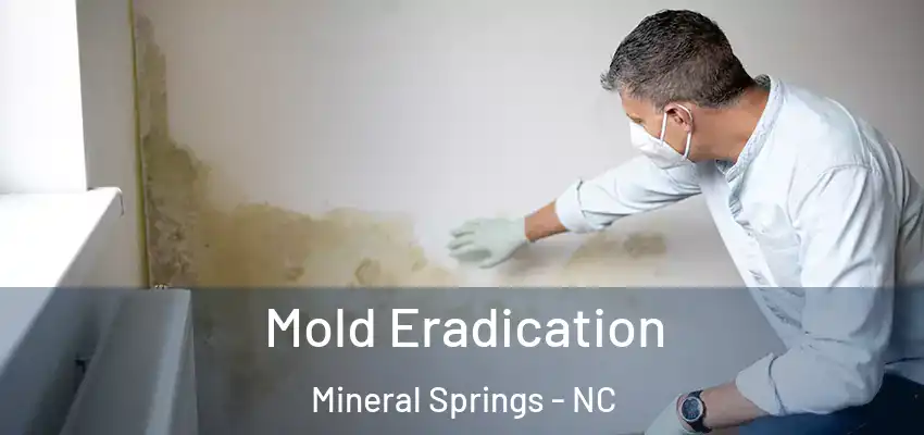 Mold Eradication Mineral Springs - NC