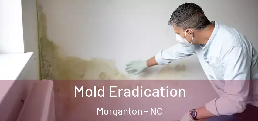  Mold Eradication Morganton - NC