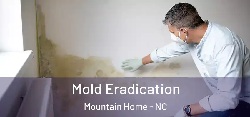 Mold Eradication Mountain Home - NC