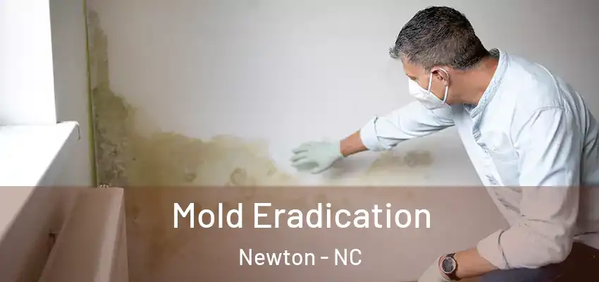 Mold Eradication Newton - NC