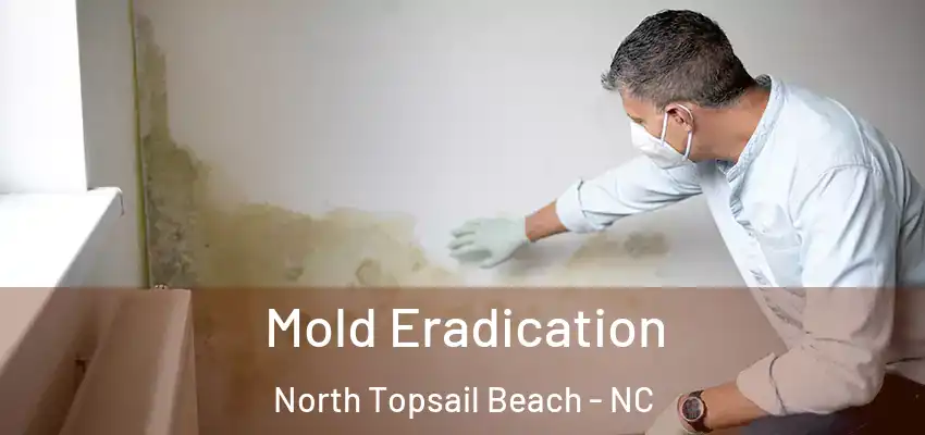  Mold Eradication North Topsail Beach - NC
