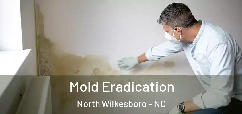  Mold Eradication North Wilkesboro - NC