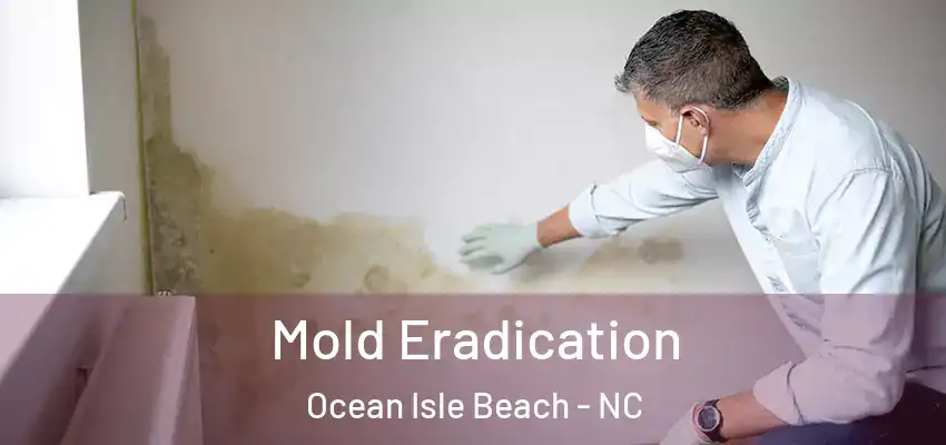 Mold Eradication Ocean Isle Beach - NC