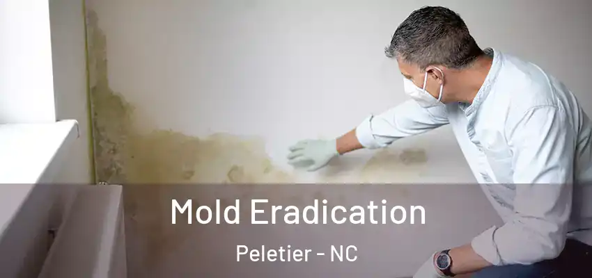 Mold Eradication Peletier - NC