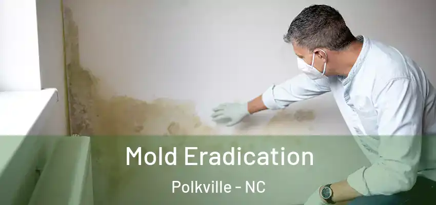 Mold Eradication Polkville - NC